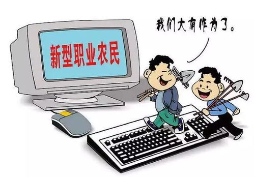 科技興農(nóng),智慧賦能 第十一屆楊凌雙交會(huì)聚焦軟件服務(wù)助推鄉(xiāng)村產(chǎn)業(yè)振興